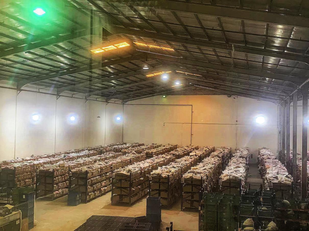 沙特24小时直播_沙特电视台直播网站_沙特tiktok直播加速