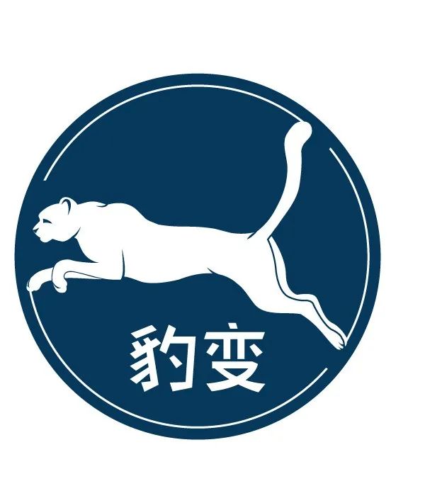 巴西直播平台_巴西直播ip_巴西直播带货
