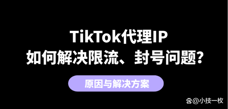 tiktok搭建原生ip_tiktok海外原生ip_海外ip代理