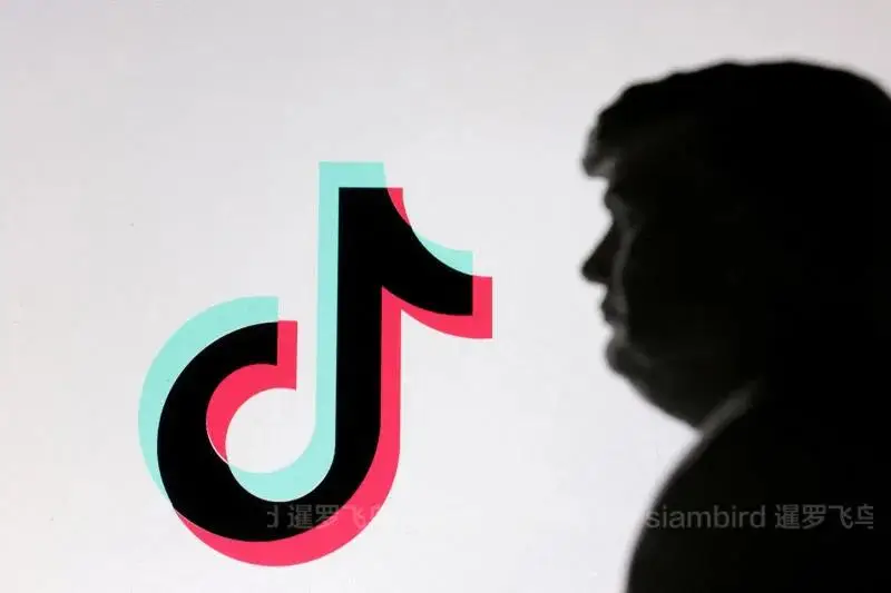 TikTok泰国投资1270亿泰铢_泰国tiktok直播加速_泰国TikTok数据中心投资