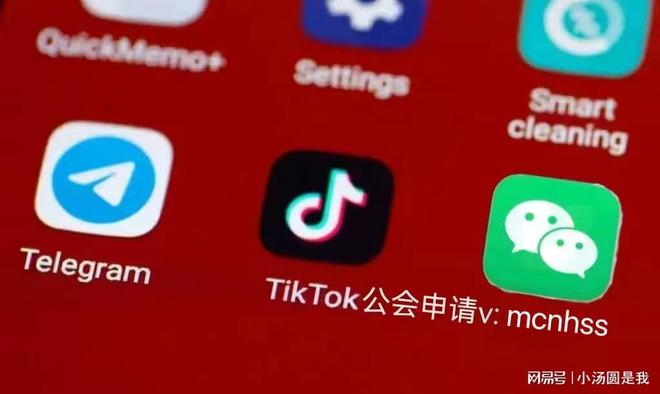 tiktok巴西直播加速_TikTok巴西公会入驻流程-新闻-TikTok原生ip|vps节点-TikTok专线网络搭建部署方案-JiSu