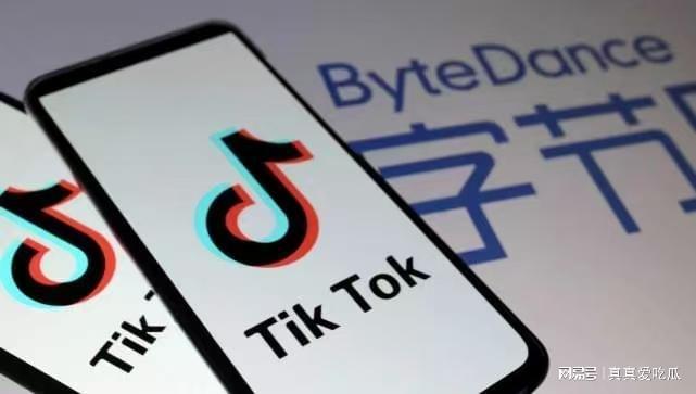 德国tiktok原生ip_TikTok德国公会入驻流程-新闻-TikTok原生ip|vps节点-TikTok专线网络搭建部署方案-JiSu