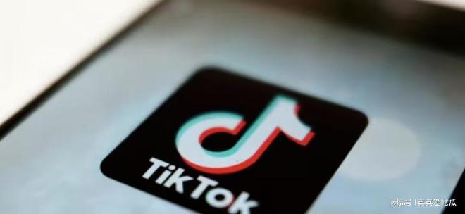 mcnhs7737入驻TikTok德国_德国tiktok原生ip_TikTok德国公会入驻流程