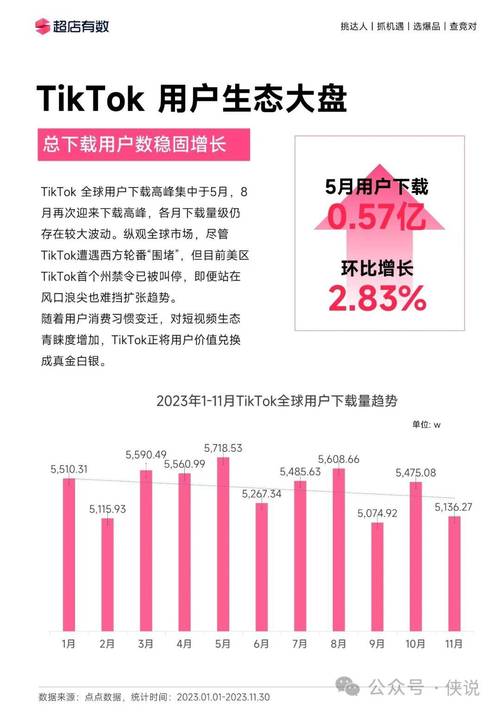 马来西亚tiktok节点_TikTok Shop市场份额增长_越南电商市场份额分析