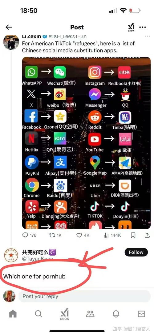 tiktok美国ip_小红书美国用户红利分析_小红书AI实战副业营