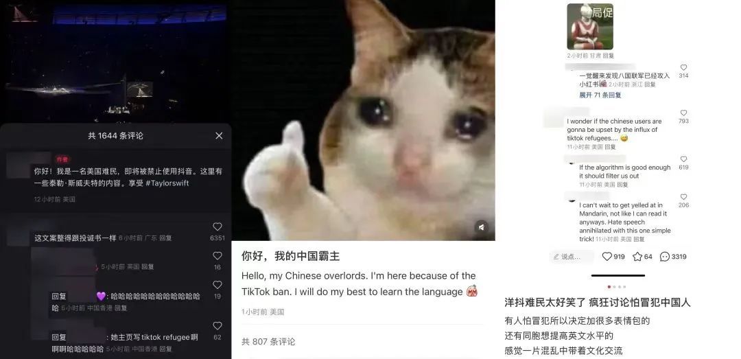 小红书海外用户增长分析_tiktok美国ip_小红书TikTokRefugee用户迁移