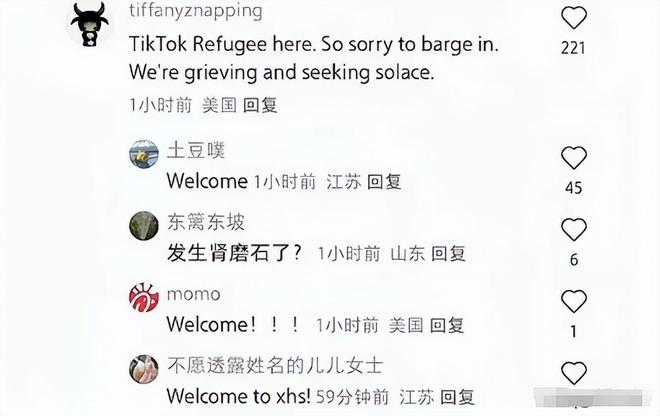 TikTok禁令 小红书国际化 美国用户涌入_tiktok美国ip