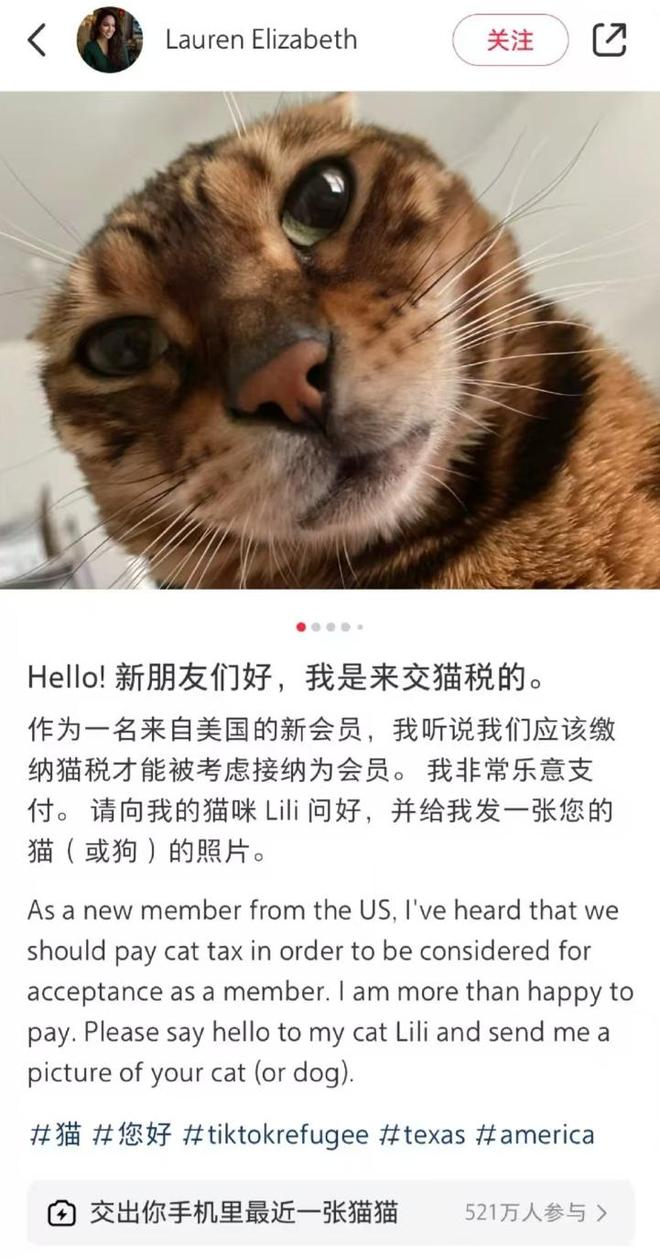TikTok禁令 小红书国际化 美国用户涌入_tiktok美国ip