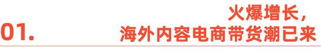 Euhomy TikTok Shop跨境电商黑五运营策略_tiktok海外专线_TikTok Shop内容电商爆款制造者