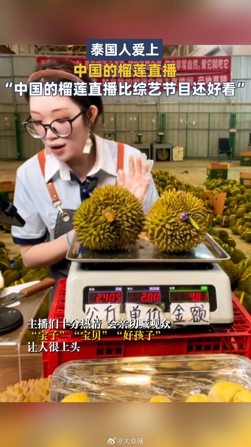 淘宝榴莲直播销量增长_泰国网红爱上中国榴莲直播_泰国直播专线