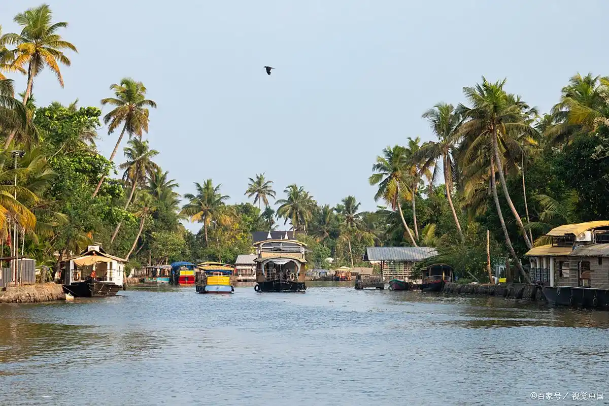 TikTok Shop美国市场战略收缩_tiktok美国直播专线_TikTok东南亚电商市场扩张